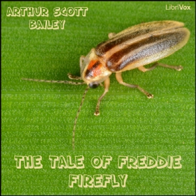 Tale of Freddie Firefly, The by BAILEY, Arthur Scott