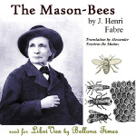 Mason-Bees, The by FABRE, Jean-Henri