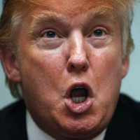 YOU AGAIN?! The View From Tim OBrien