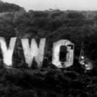 Medias Urge to Merge