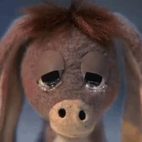 Rethinking the Democrats