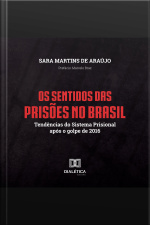 Os Sentidos Das Prisões No Brasil: Tendências Do Sistema Prisional Após O Golpe De 2016