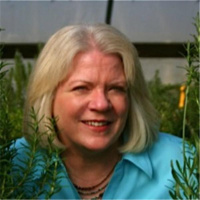 How many Artists are you?