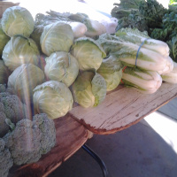  FoodFumieAndYou Episode 7