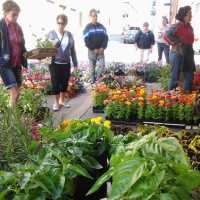 Episode 3 FoodFumieAndYou