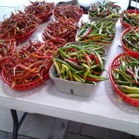 FoodFumieAndYou Episode 12