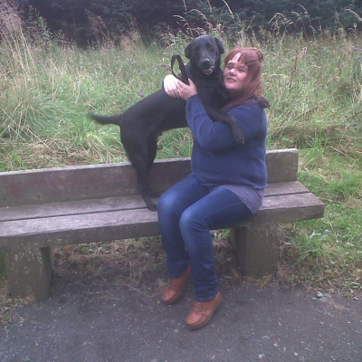 Sean Taggarts Podcast