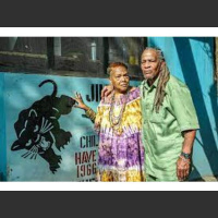 Wandas Picks Radio Show