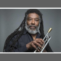 Wandas Picks Radio Show