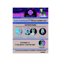 Wandas Picks Radio Show Special-- 6th Annual Black Sustainablity Summit, 10/14