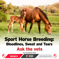 Ep 983: Sport Horse Breeding: Bloodlines, Sweat and Tears - Ask The Vet Special