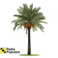 Giardini di Palestina di sab 11/02/17