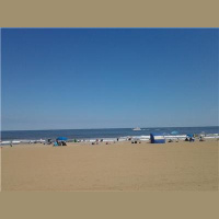 Divatosity-Half Portions, Guest Rooms, and more...