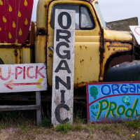 #32 Jim Cochran of Swanton Berry Farm on growing organic when everyone says it’s impossible