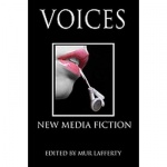 Voices: New Media Fiction
