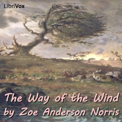 Way of the Wind, The by NORRIS, Zoe Anderson