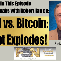 Gold vs. Bitcoin: Debt Explodes! - Robert Ian #6256