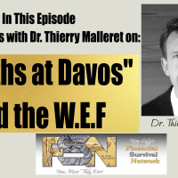Deaths at Davos  the W.E.F - Dr. Thierry Malleret #6188