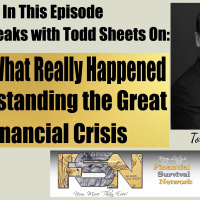 2008: What Really Happened - Todd Sheets #6200