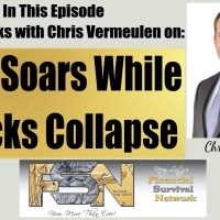 Gold Soars While Stocks Collapse - Chris Vermeulen #6259