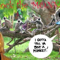 Aw Yeah 49 Shock The Monkey WARNING