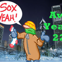 Issue 22 SOX...YEAH!