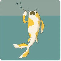 Podcast #9 - Darren Hanlon