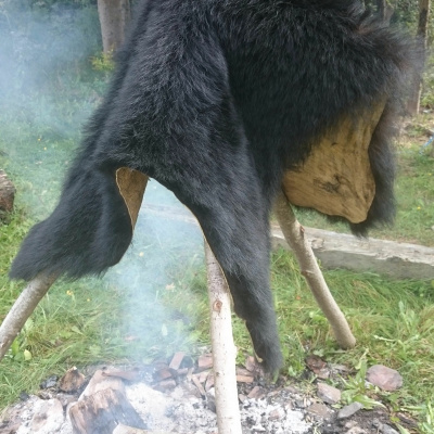 Art and Rural Knowledge