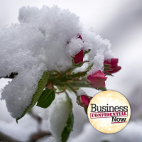 How to Continuously Thrive Amid Adversity with Meridith Elliott Powell