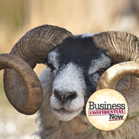 How to Successfully Grab Organizational Change Management by the Horns with Erika Andersen