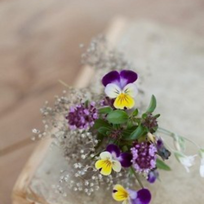 Danielarossisaviores Podcast