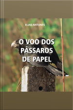 O Voo Dos Pássaros De Papel