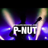 PNUT of 311 interviewed by Wheelers Weekend Jams LIVE AND DIRECT 