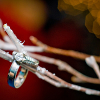 Basics of Buying a Diamond