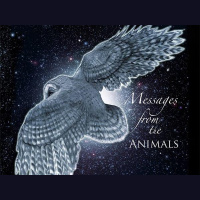 Patricia Brooks, An Animal Totem Intuitive