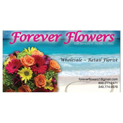 In The Authors Corner With Etienne