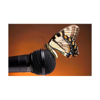 The Butterfly Queen After Dark Radio Show with Marsha Snead Williams