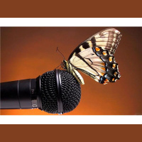 The Butterfly Queen After Dark Radio Show with Marsha Snead Williams