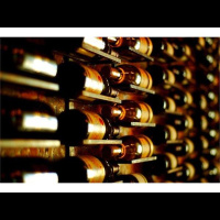 Off the Vine Radio Show with Benita and Terricinia