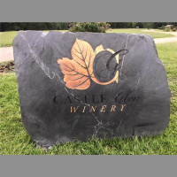 Off the Vine Radio Show with Benita, Terricinia, and Sometimes Brian