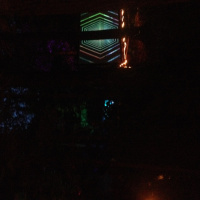 Episode 6 - The rave in the woods, iguanas, and a naked concert