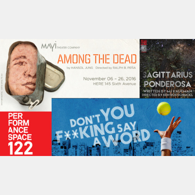 Maxamoos New York City Theater Podcast