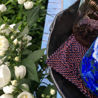 Red, blue, white: tea meditation