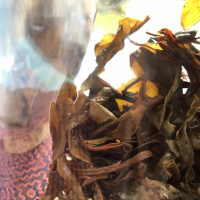 Mountain, Garden, Tree