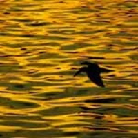 Transforming discomfort into power: Work Mysteries