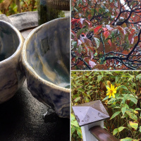 Beautiful sounds: tea meditation