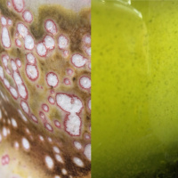 Green tea, pink spots: tea meditation