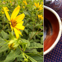 Glow on a cloudy day: Tea Meditation