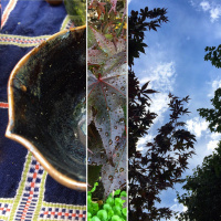 Ladders were raised: Tea Meditation