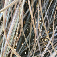 Glimpse of brightness